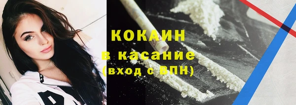 прущие грибы Володарск