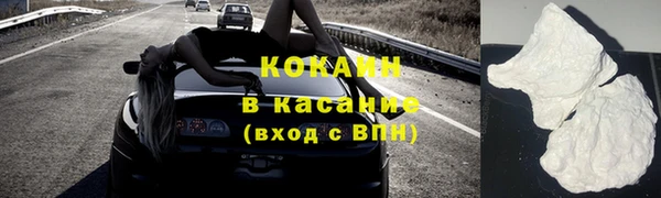 прущие грибы Володарск