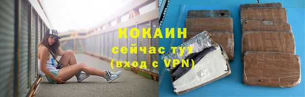 прущие грибы Володарск
