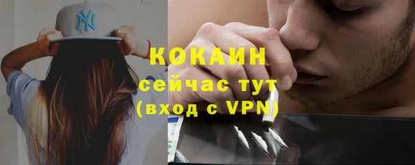 прущие грибы Володарск
