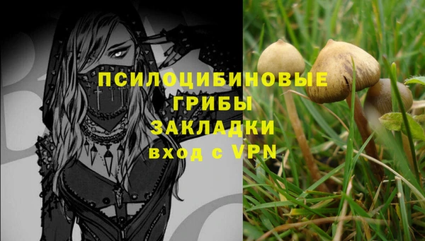 соль ск Волоколамск