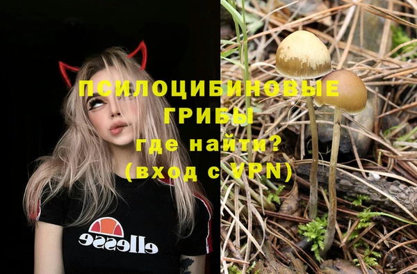 прущие грибы Володарск