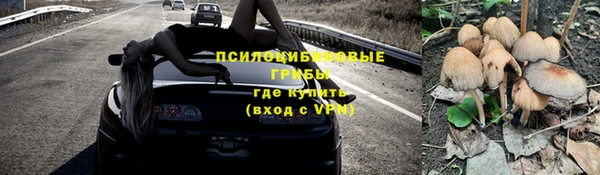 шишки Волосово
