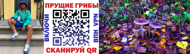 Галлюциногенные грибы MAGIC MUSHROOMS  Славянск-на-Кубани 